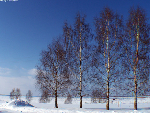 29341 (a): :1024x768
